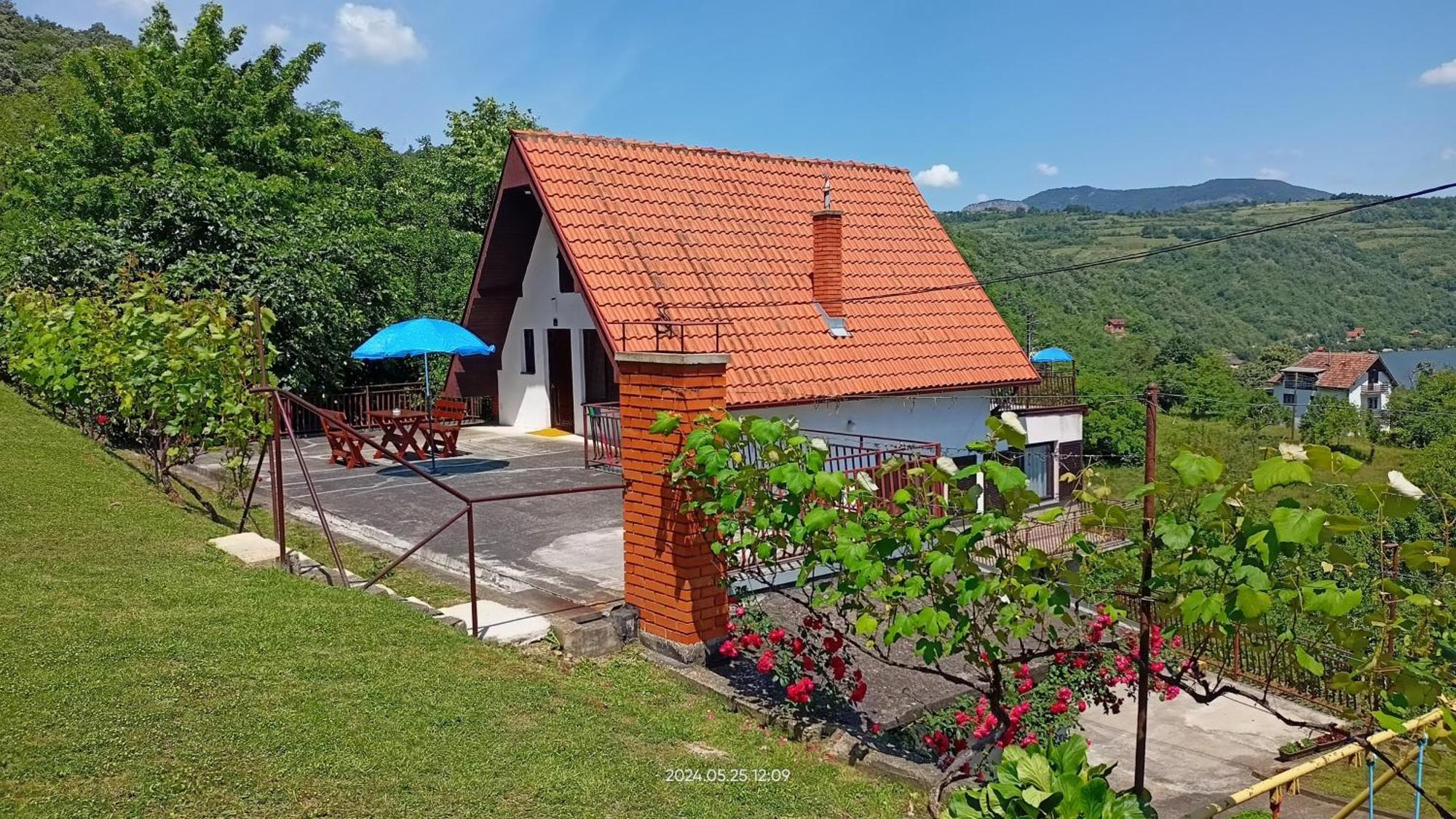Apartman Duric Donji Milanovac Exterior photo